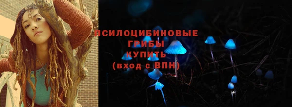 твердый Алзамай